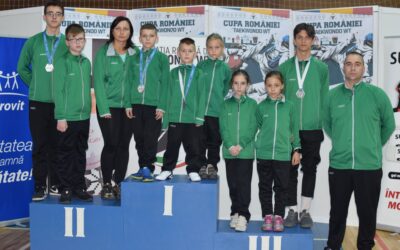 Taekwondo WT Románia kupa